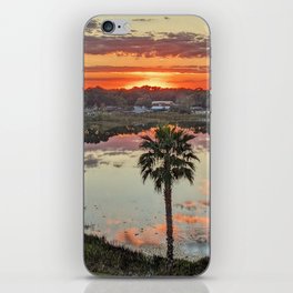 Refection Sunset Palm Tree iPhone Skin