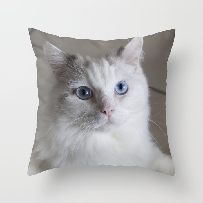 Ragdoll Cat Blue Eyes Throw Pillow By Designsdeborah