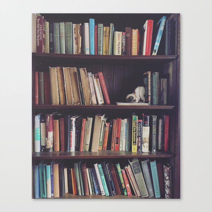 The Bookshelf in the Library, portrait, filtered Canvas Print