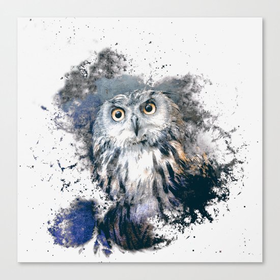 OWL 2 Canvas Print