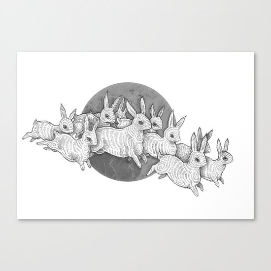 Leporidae Canvas Print