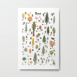 Trees of the Pacific Northwest Metal Print | Fathersday, Deciduous, Fall, Pnw, Alphabet, Typography, Conifers, Britishcolumbia, Painting, Oregon 