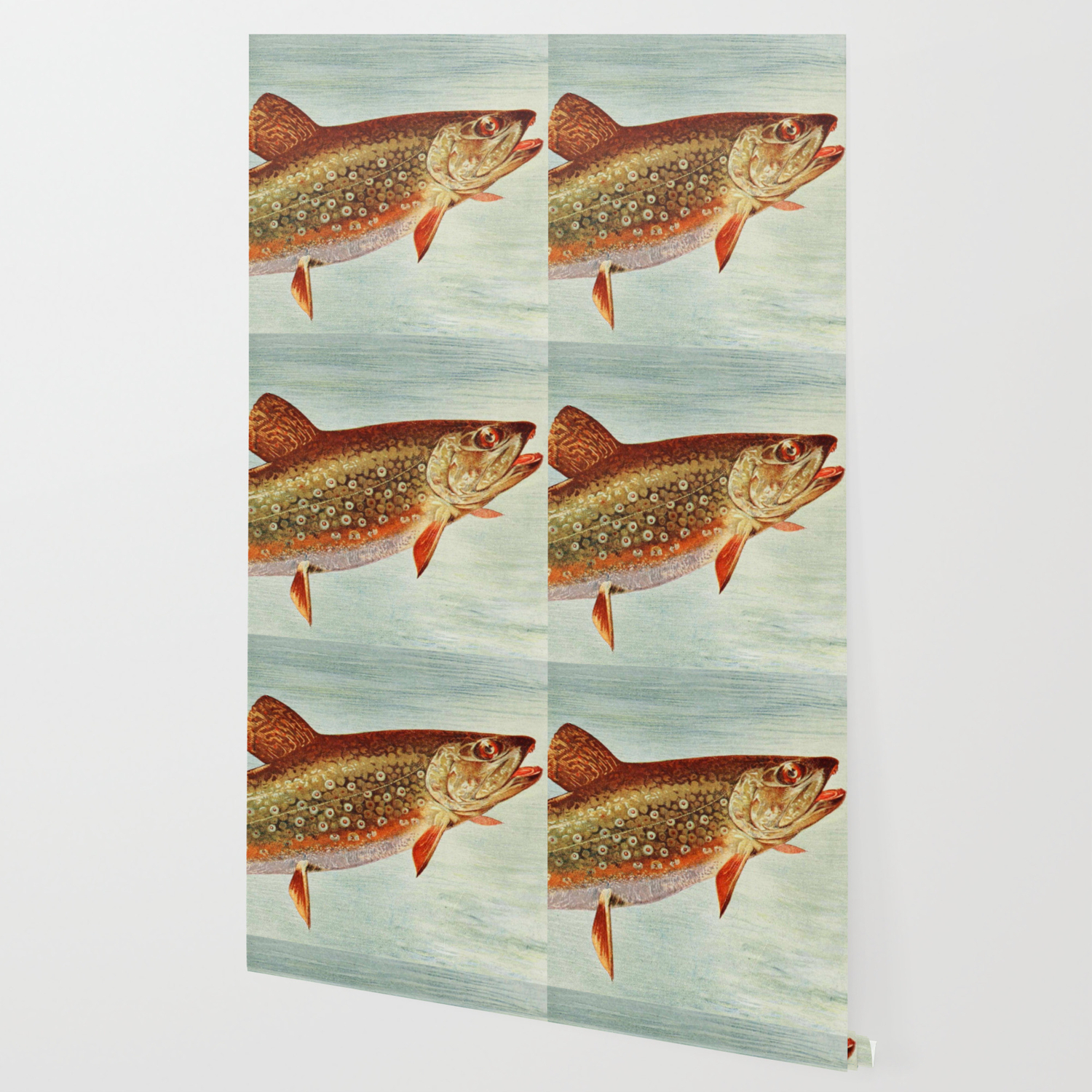 Vintage Brook Trout Illustration 1914 Wallpaper By Bravuramedia