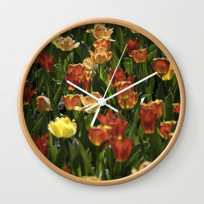 A sea of spring tulips Wall Clock