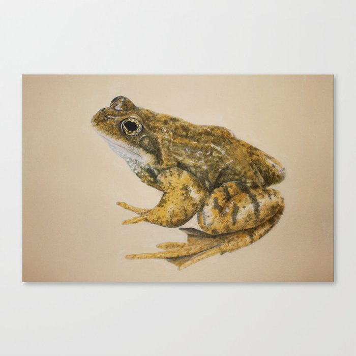  frog Canvas Print
