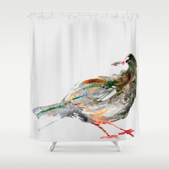 city pigeon Shower Curtain