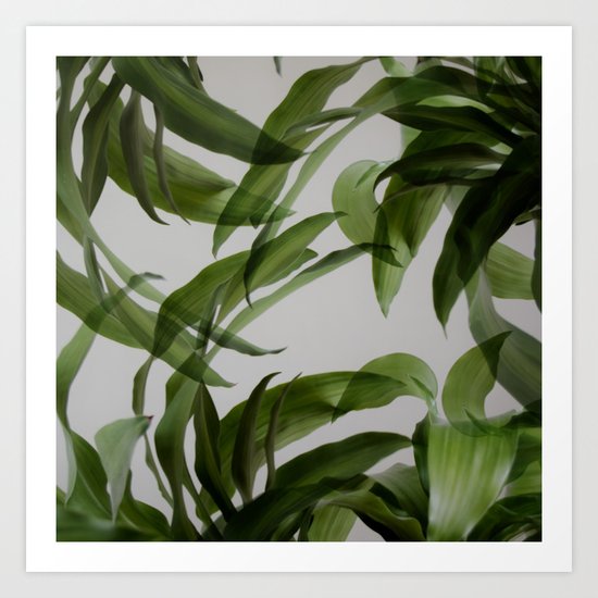 Tropical leaves Art Print