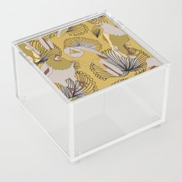 Birds of Prey in Yellow Acrylic Box