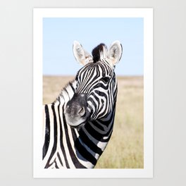 African Animal | Black White Zebra Safari 2 | Fine Art Travel Photography Art Print