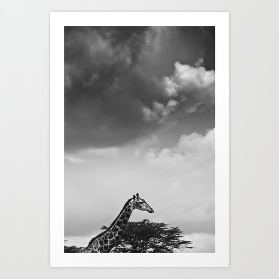 Giraffe under overcast Art Print