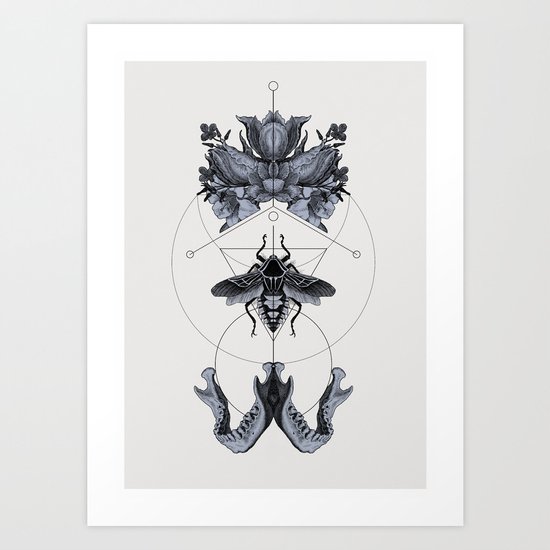 The Panoply Plate 01 Art Print