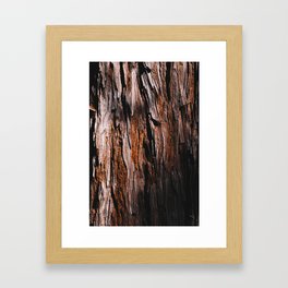 the redwood sleeps beneath the shade Framed Art Print