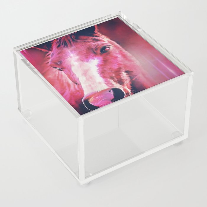horse spirit in pink glowlight Acrylic Box