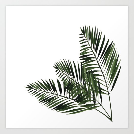 Tropical Exotic Palm Leaves I Art Print