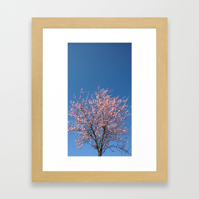 Peach tree Framed Art Print