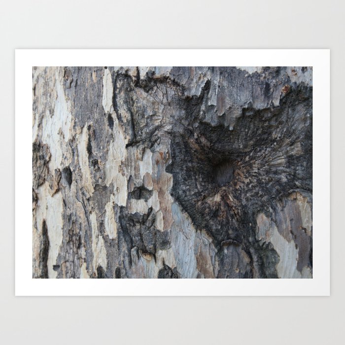 Tree Bark art work  Art Print