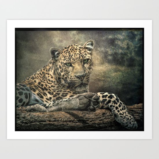 The Night of The Leopard Art Print