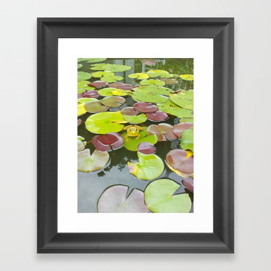 Resting on the pad Framed Art Print