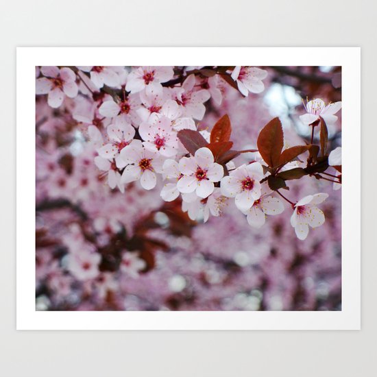 cherry plum candy Art Print