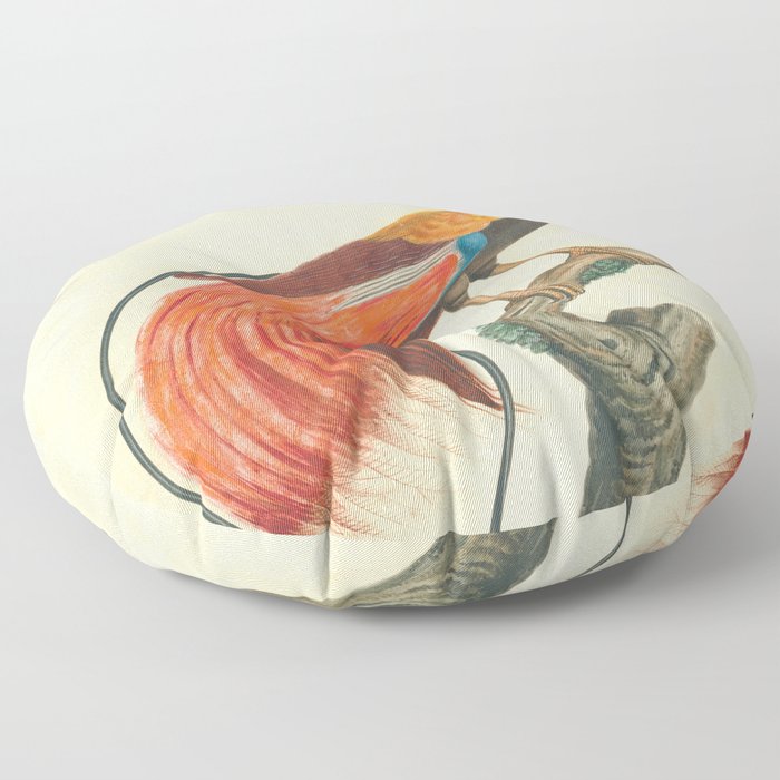 Raggiana Bird of Paradise Floor Pillow