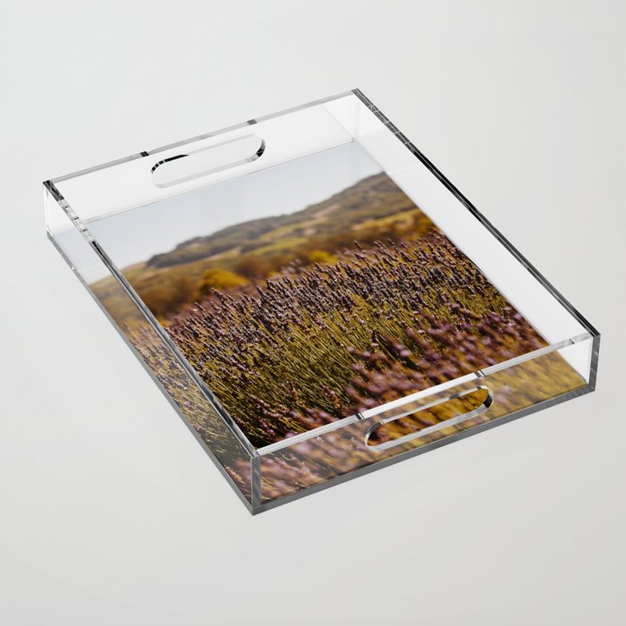 Lavender Fields IV Acrylic Tray