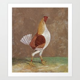 Fighting Cocks, a Pale-Breasted Fighting Cock, Facing Right  Art Print