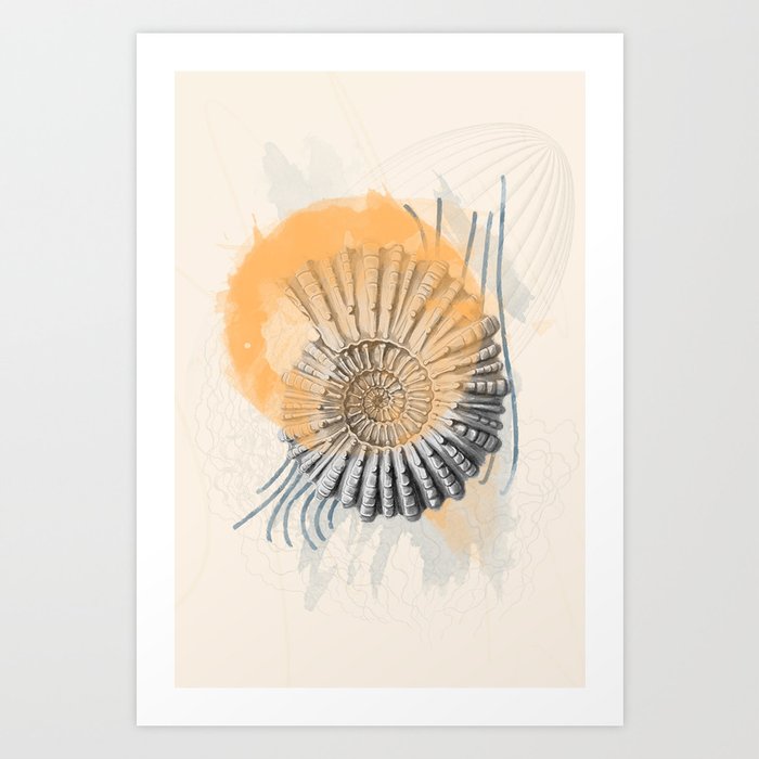 Abstract maritime nautilus drawing Art Print