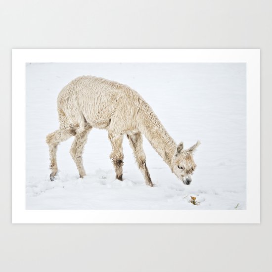 Hello...... Are you cold? Art Print