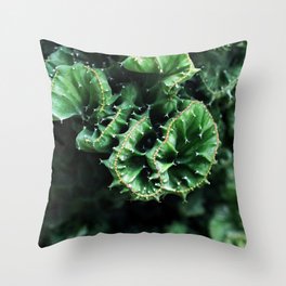 Emerald green Cactus Botanical Photography, Nature, Macro, Throw Pillow