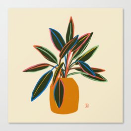 PLANT WITH COLOURFUL LEAVES  Canvas Print