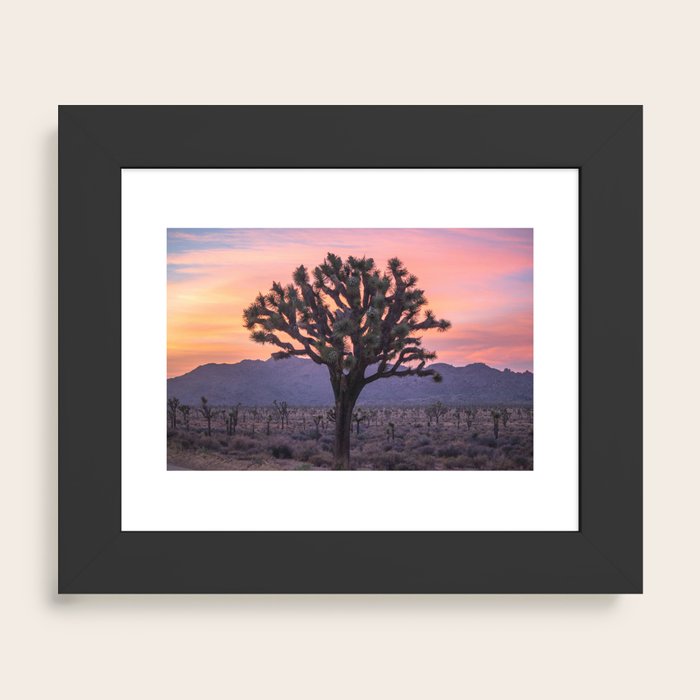 Framed Art Print