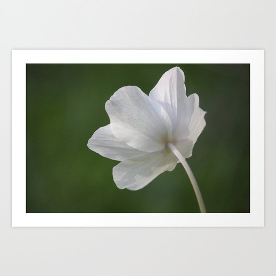 Soul Purity Art Print