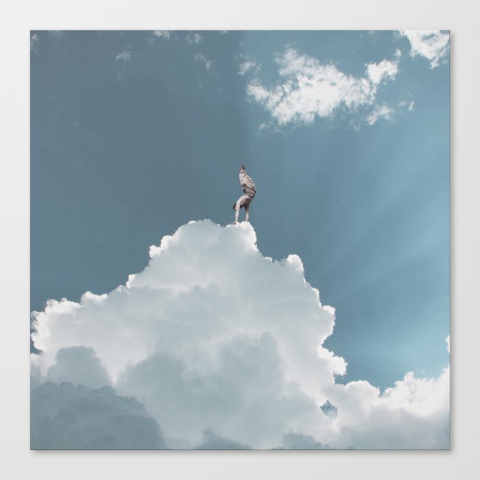 King of the Skies Canvas Print