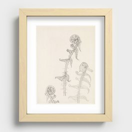 Waking Up Fern Recessed Framed Print