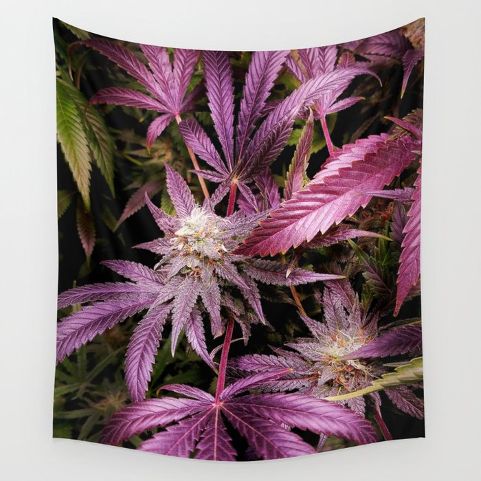 Magenta Wall Tapestry