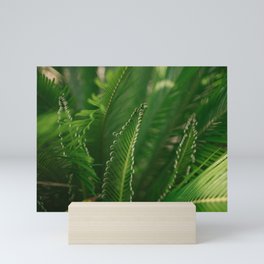 fern composition no. 1 Mini Art Print