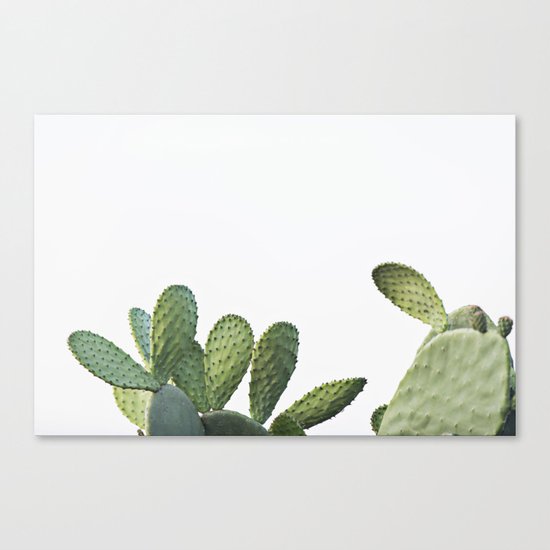 Cactus Canvas Print