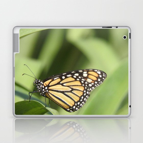 Mexico Photography - Beautiful Butterfly On A Plant Laptop & iPad Skin