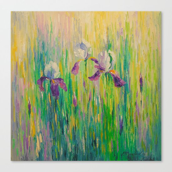 Morning with irises Canvas Print