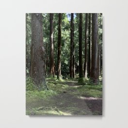 Floresta Terceira Metal Print