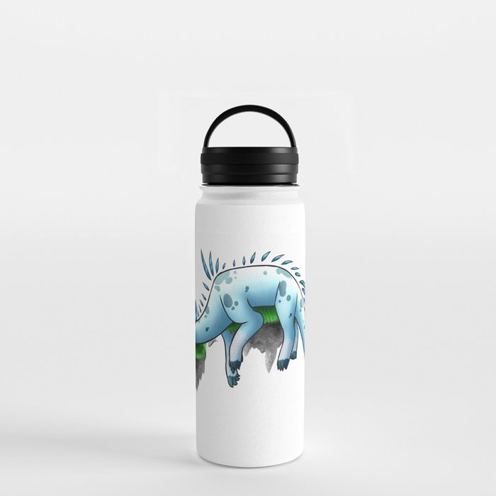 Sleepy Dragon Water Bottle