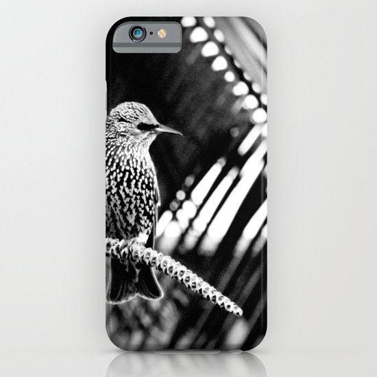 natural patterns iPhone & iPod Case