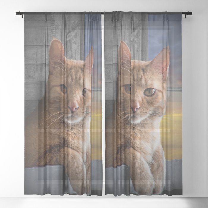 You looking at me, says the Cat Sheer Curtain