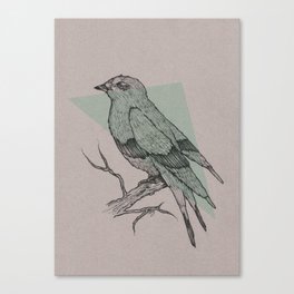 Bird Fascination Canvas Print