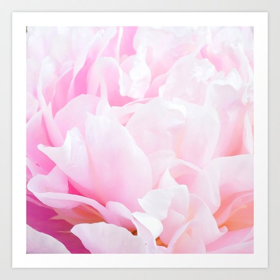 CREAMY PINK FLOWER Art Print