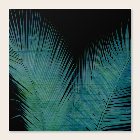 Night Palm Canvas Print