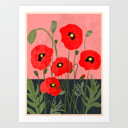 Poppy Flowers 2 Art Print