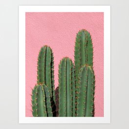 Cactus on Pink, Melrose Place Art Print