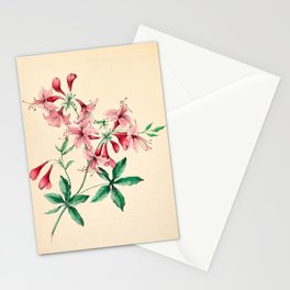  Wild honeysuckle by Clarissa Munger Badger, 1859 (benefitting The Nature Conservancy) Stationery Card