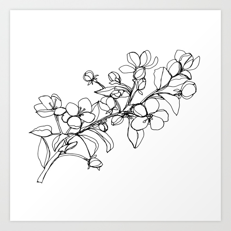 Apple Blossoms A Continuous Line Drawing Art Print By Kendra Shedenhelm Society6